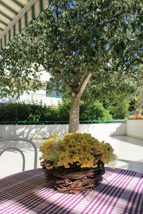 Apartament Pino *
