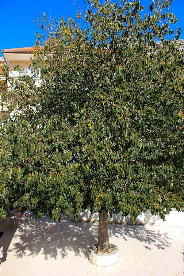 Pino Apartament Makarska